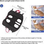 Close up of reinforced buckles on Wakytu lift harness