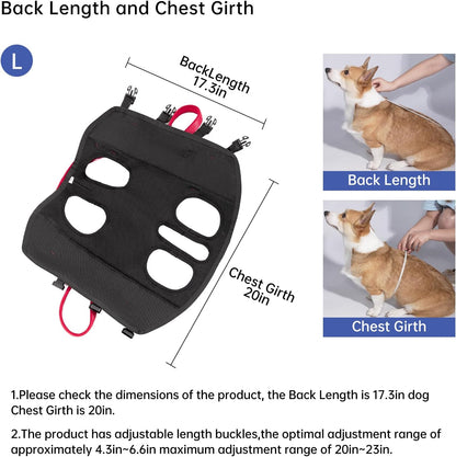 Close up of reinforced buckles on Wakytu lift harness