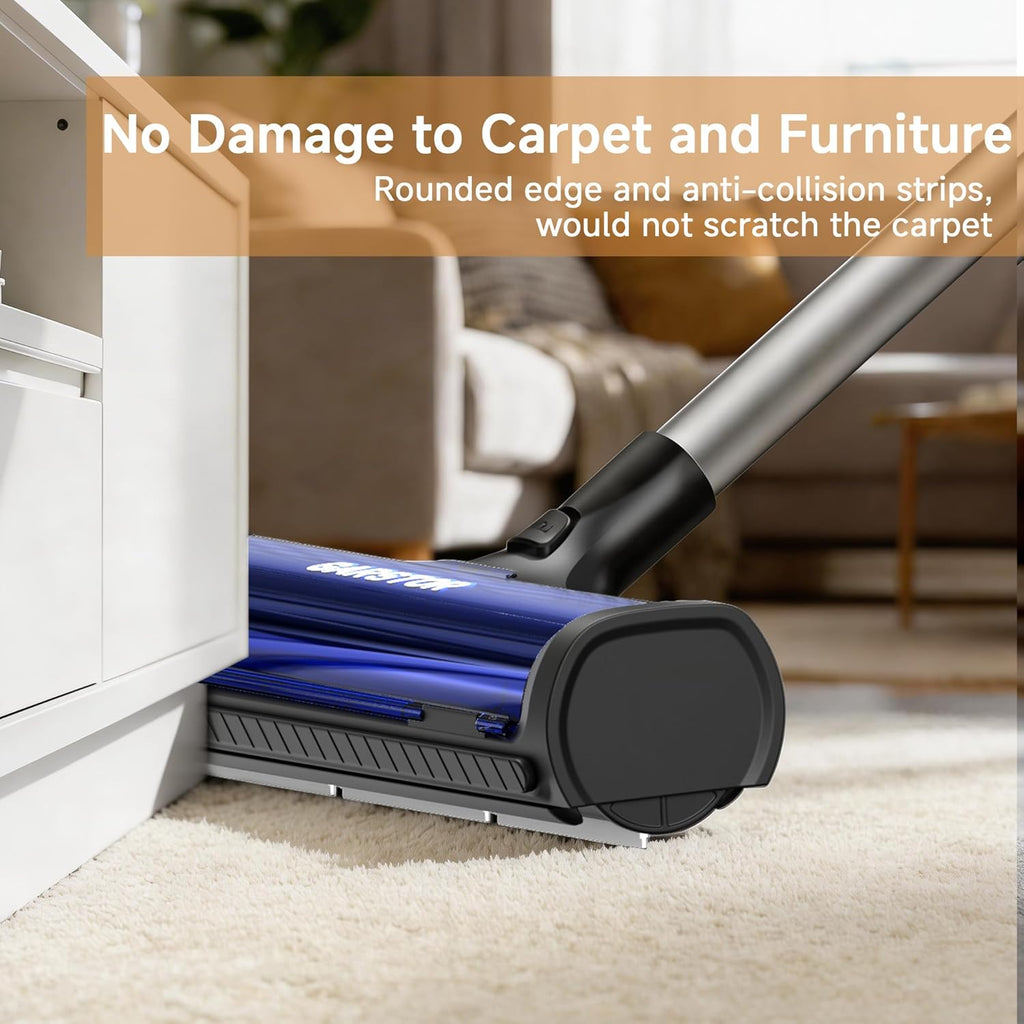 Garstor carpet hair scraper and roller removing cat fur from area rug