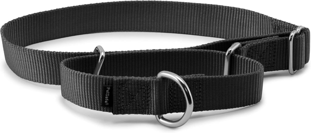 PetSafe comfortable anti choke collar sizing guide demonstration
