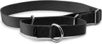 PetSafe comfortable anti choke collar sizing guide demonstration