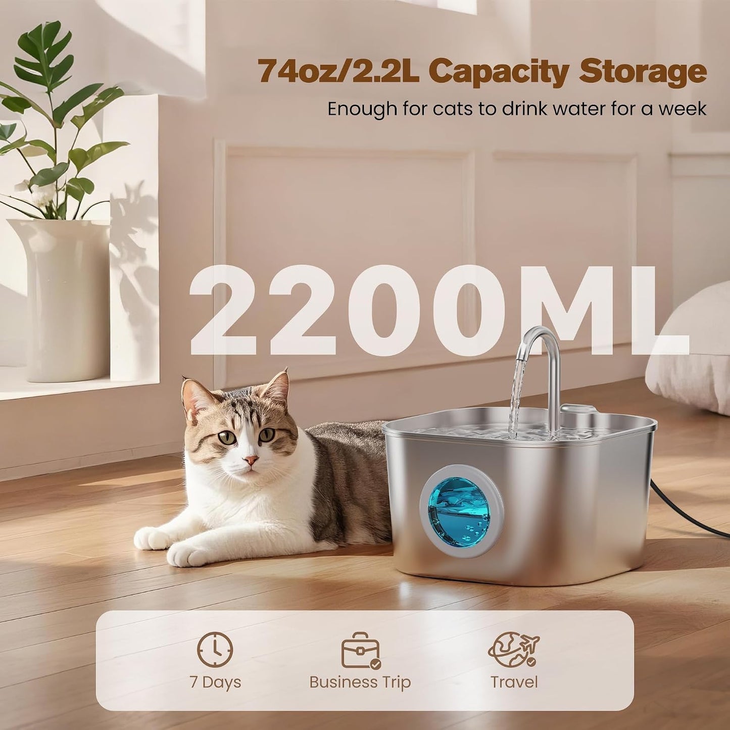 Cat drinking from flowing water spout
