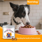 Nutridog salmon flavored soft chews for clear pet vision health