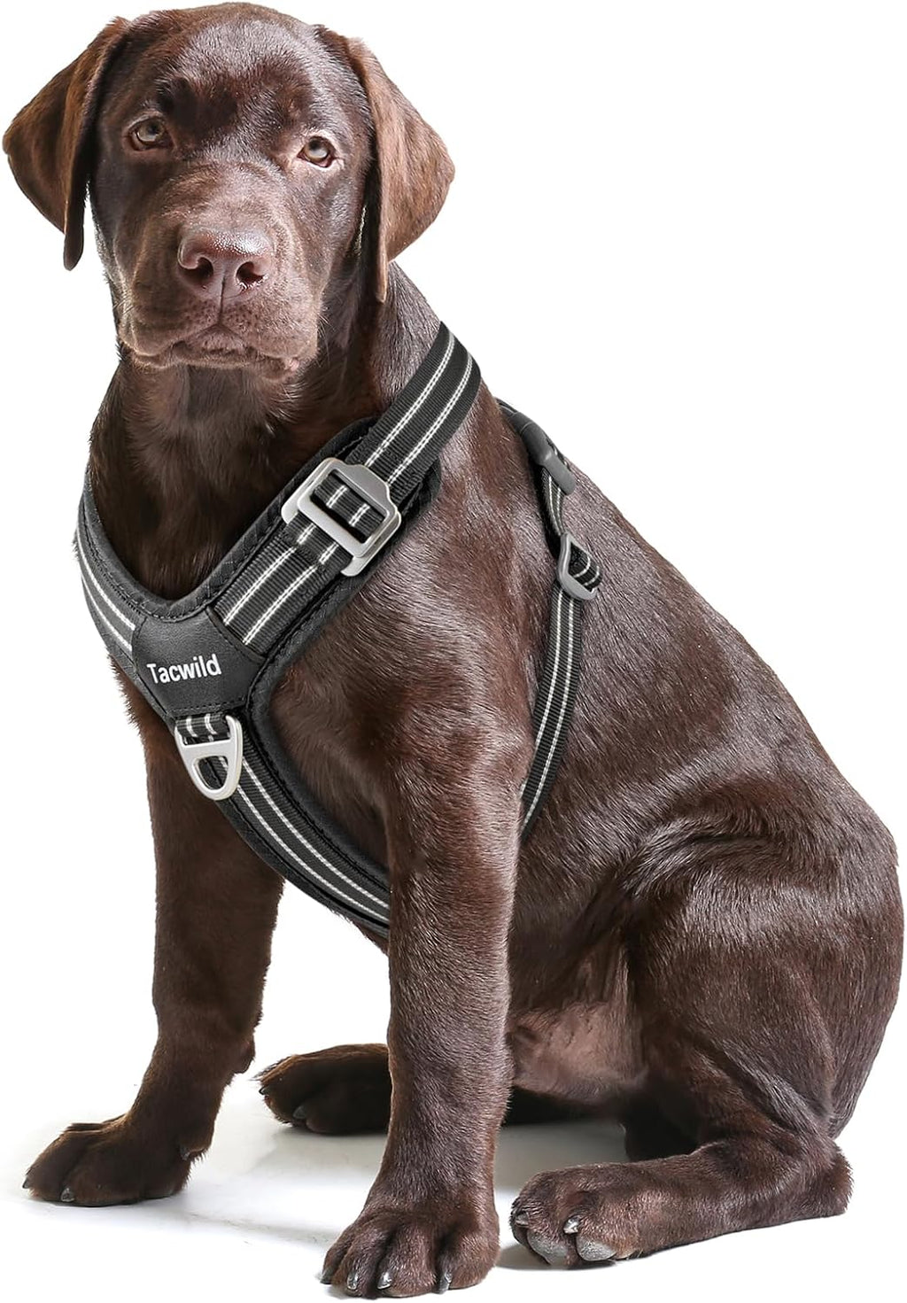No Pull Dog Harness - Adjustable Reflective Dog Vest with Metal Snap, Soft Breathable Mesh No Choke Puppy Harness, Easy to Put on & Take Off (Blue-S) - Image 15