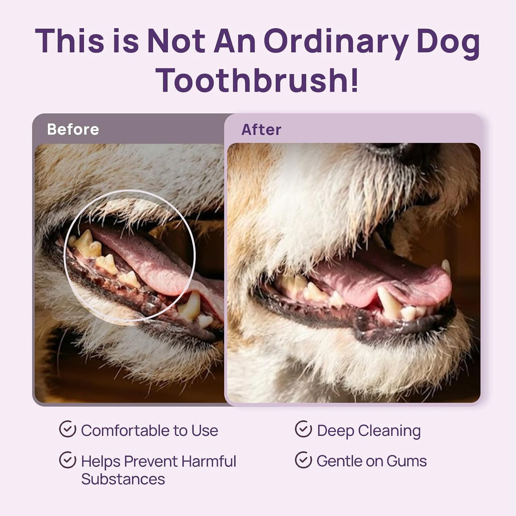 Veterinarian recommended cat dental brush angled neck