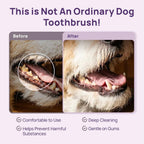 Veterinarian recommended cat dental brush angled neck