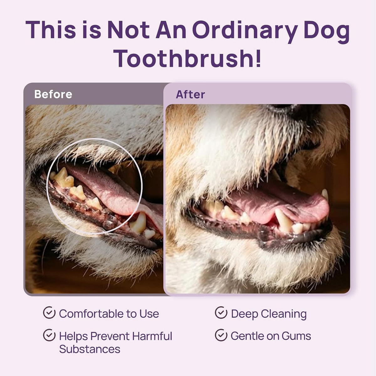 Veterinarian recommended cat dental brush angled neck