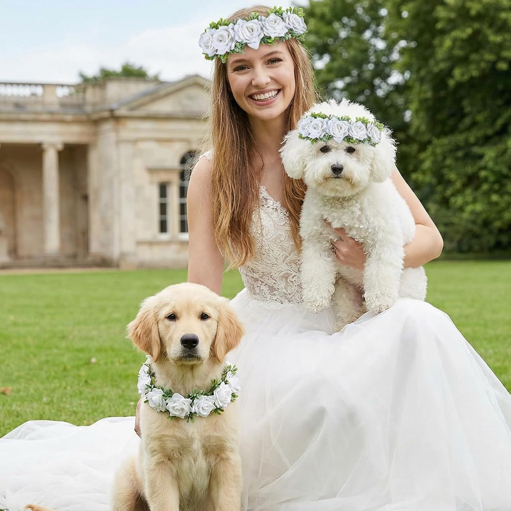 Quilax elegant dog flower headband packaging presentation for pet wedding outfits.