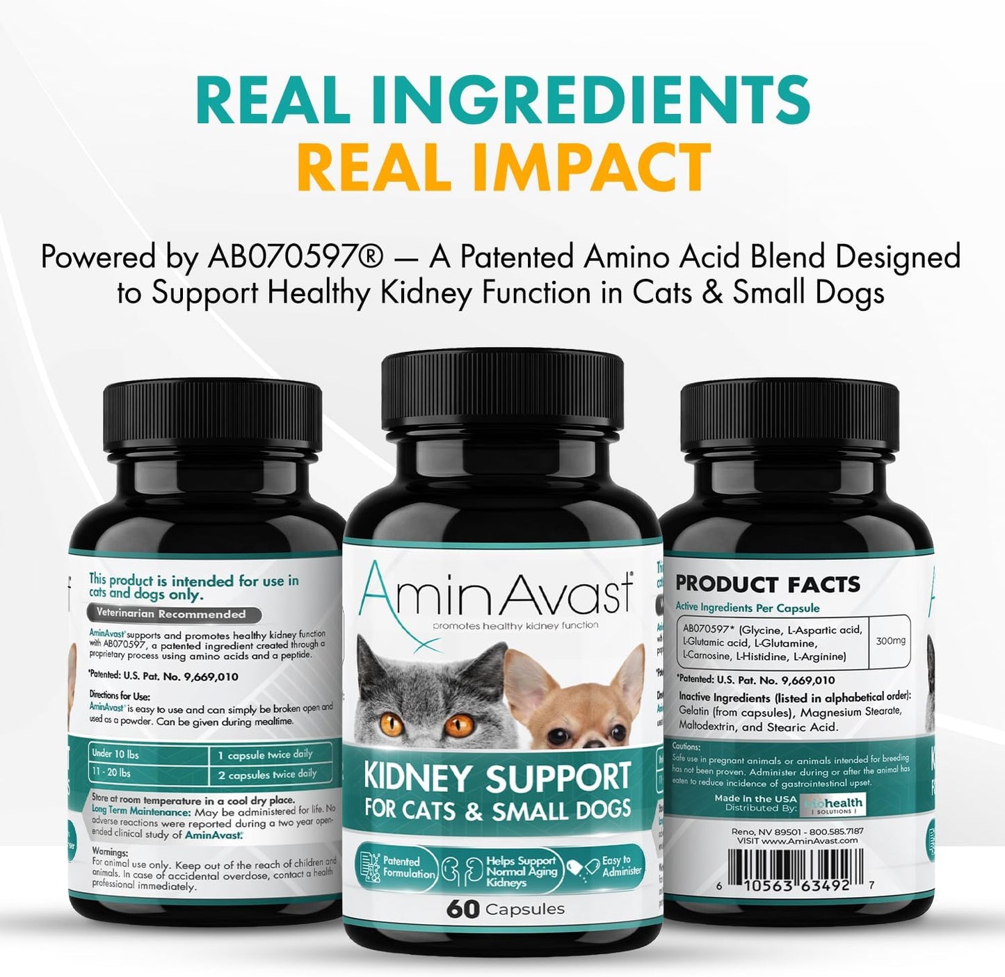 AminAvast Small Dogs & Cat Kidney Support - Promotes Healthy Kidney Support in Cats & Small Dogs - 300mg, 60 Capsule - Image 5