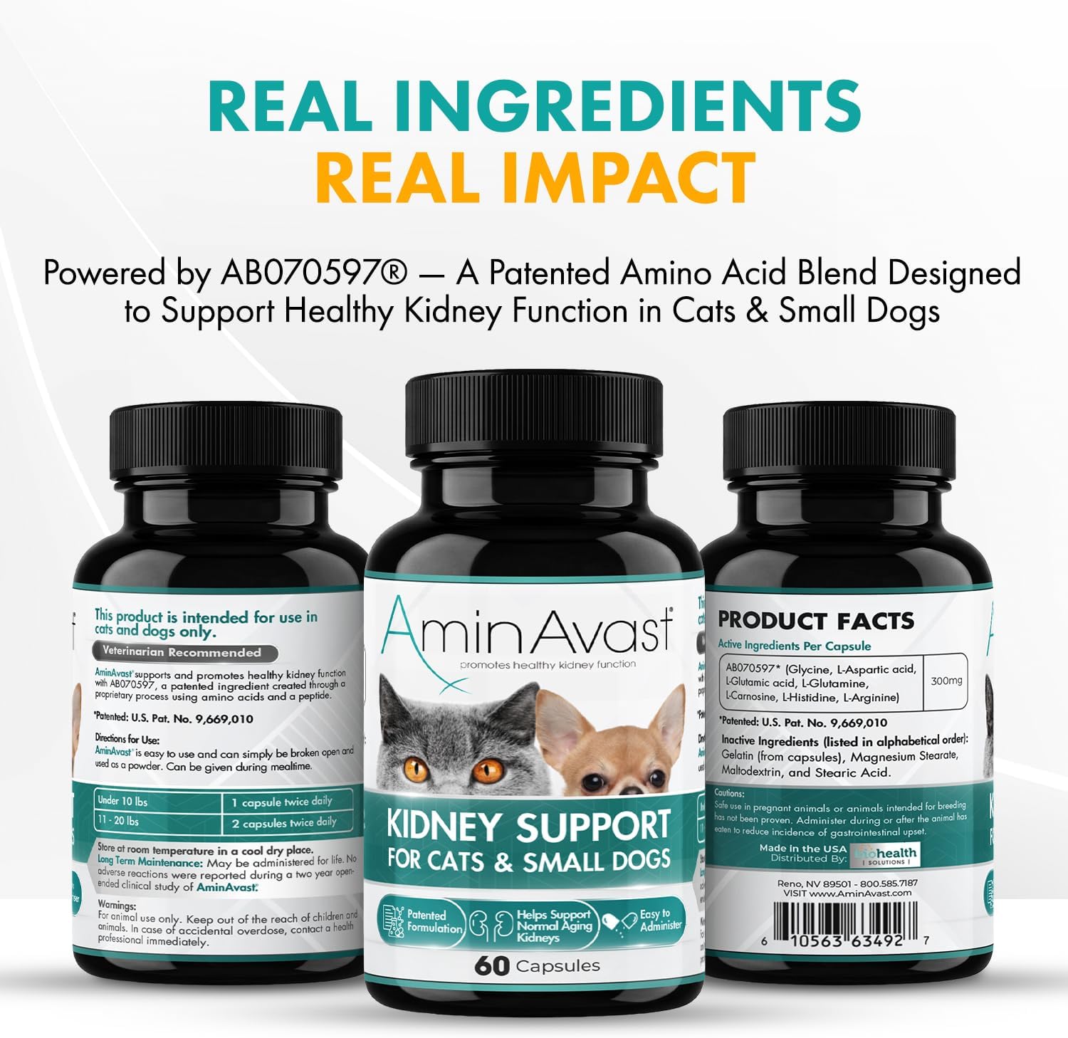 AminAvast Small Dogs & Cat Kidney Support - Promotes Healthy Kidney Support in Cats & Small Dogs - 300mg, 60 Capsule - Image 5