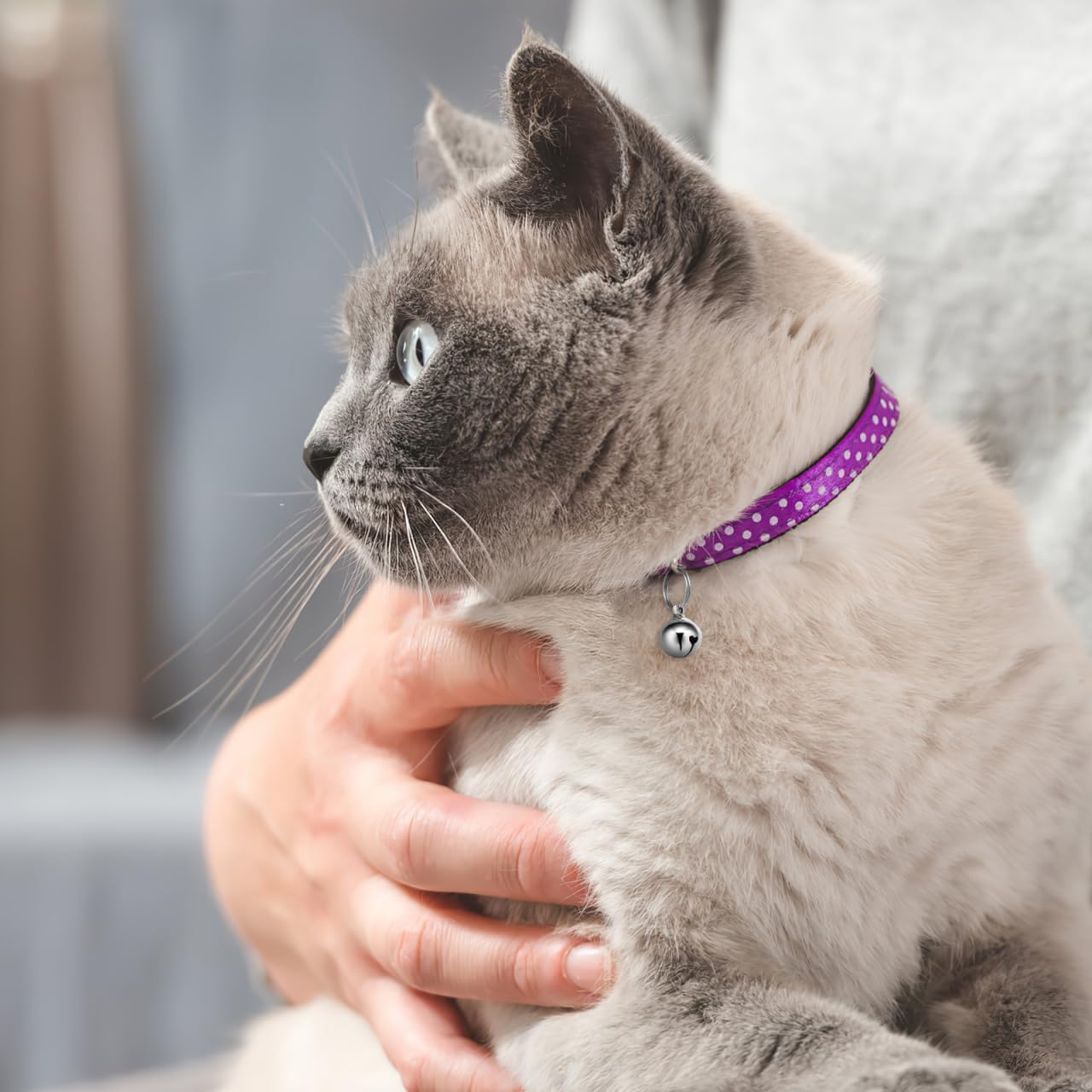 Ukcoco metal collar pendant set for pet identification