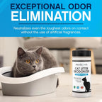 NonScents Odor Neutralizer powder texture and grain close up
