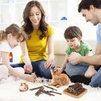 Healthy and additive free small animal snacks for everyday dental care routine