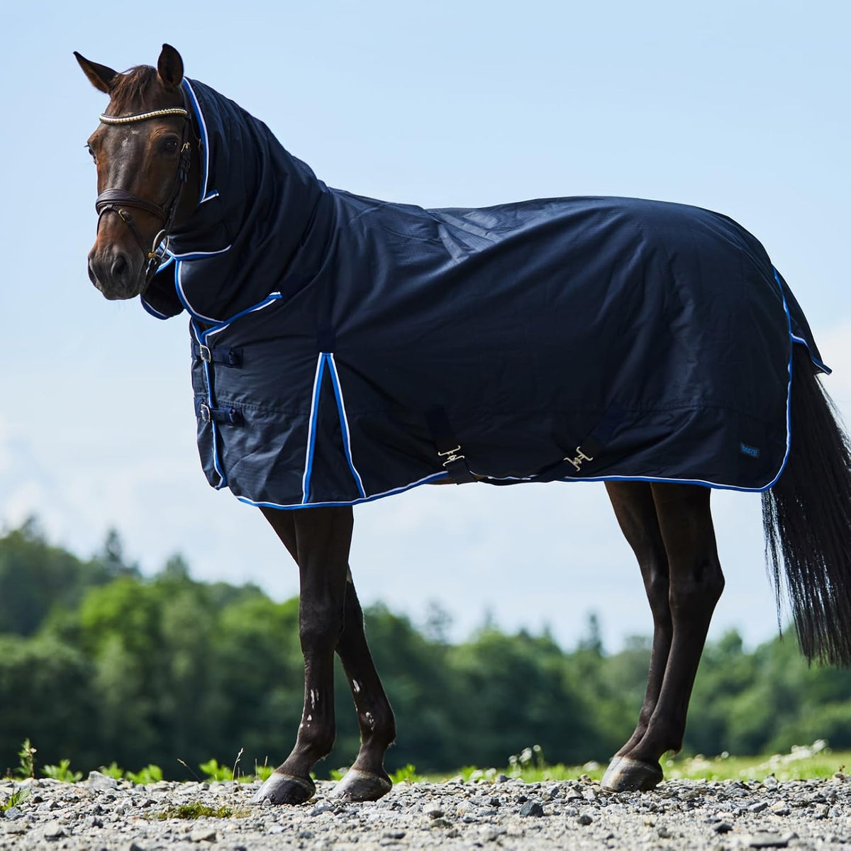 Horze 150g fill horse rug with attached neck cover on a horse outdoors