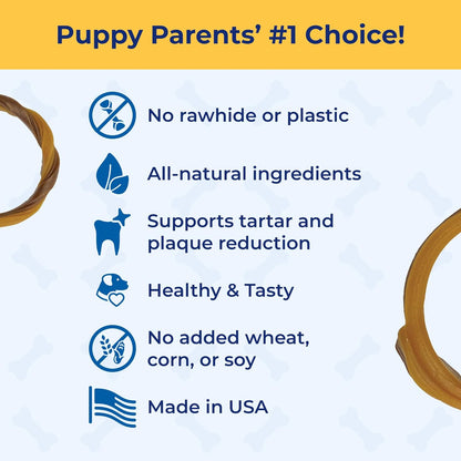 USA imported N-Bone puppy dental treat close up view
