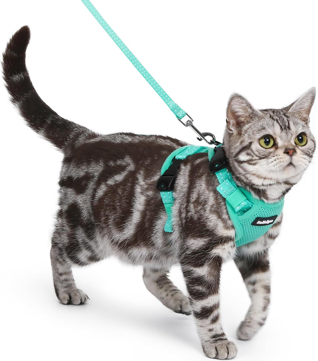 rabbitgoo Easy-on Cat Harness and Leash with Neck Buckle, S, Black | Escape Proof, No Over-the-head, Lockable Adjusters, 3 Secure Buckles, Soft Air Mesh, Reflective, for Average Adult Cats Walks - Image 13