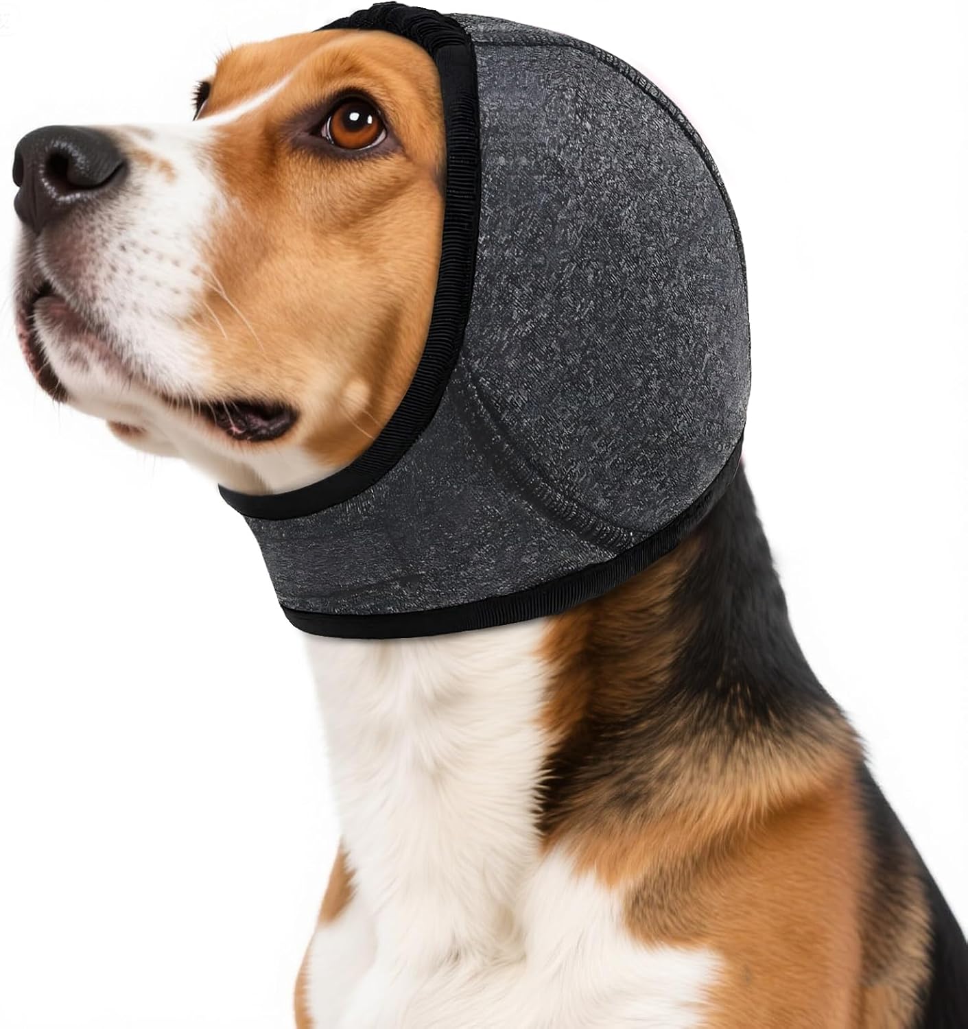 Allroaring dog calming hoodie front view for small pet anxiety relief