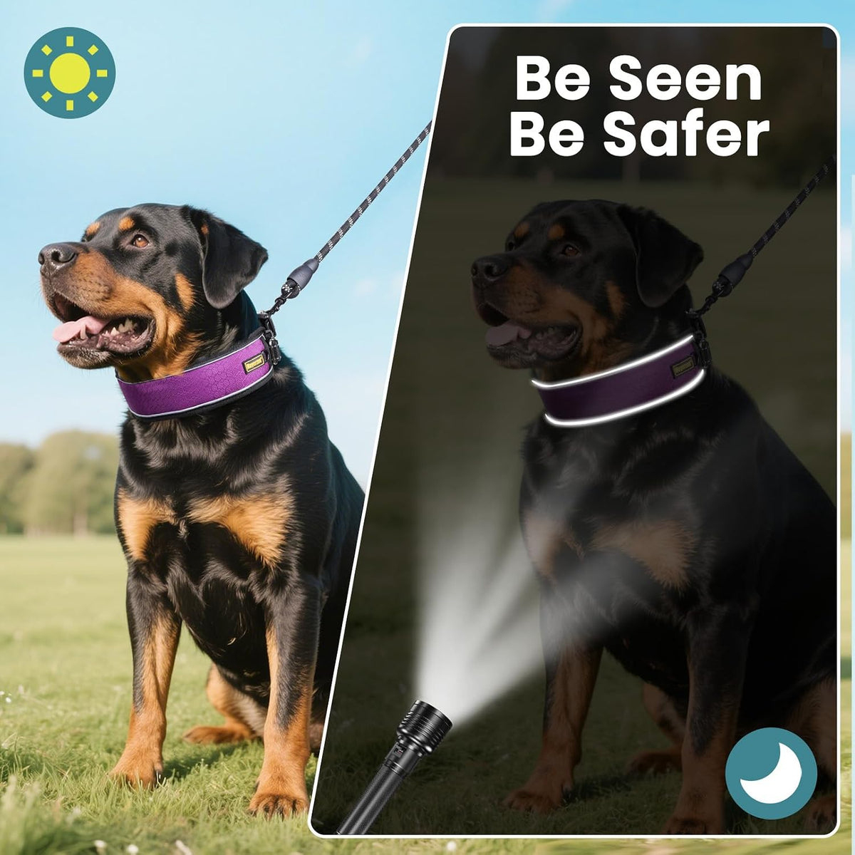 Durable metal D-ring on Mayerzon training collar