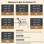 Thick warm winter clothes for Chihuahua and Yorkie breeds
