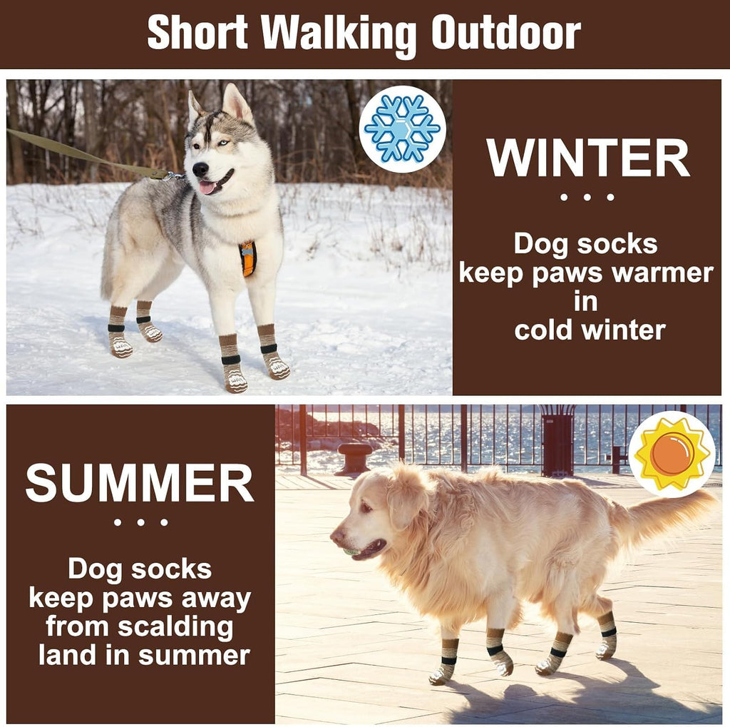 Small dog walking comfortably in Beautyzoo paw protector socks