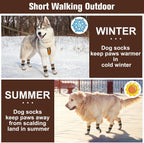 Small dog walking comfortably in Beautyzoo paw protector socks
