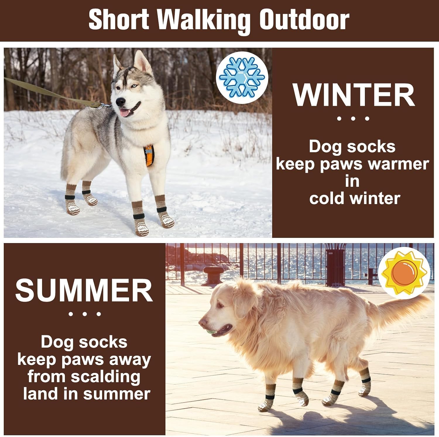 Small dog walking comfortably in Beautyzoo paw protector socks