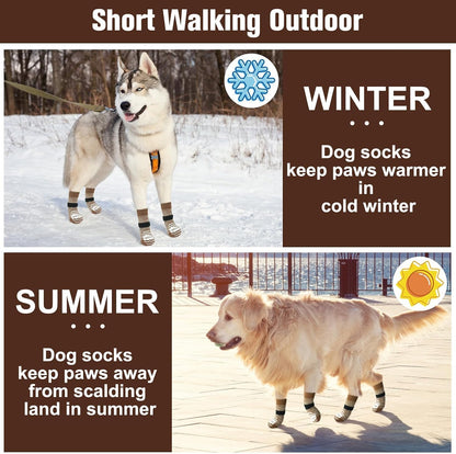 Small dog walking comfortably in Beautyzoo paw protector socks