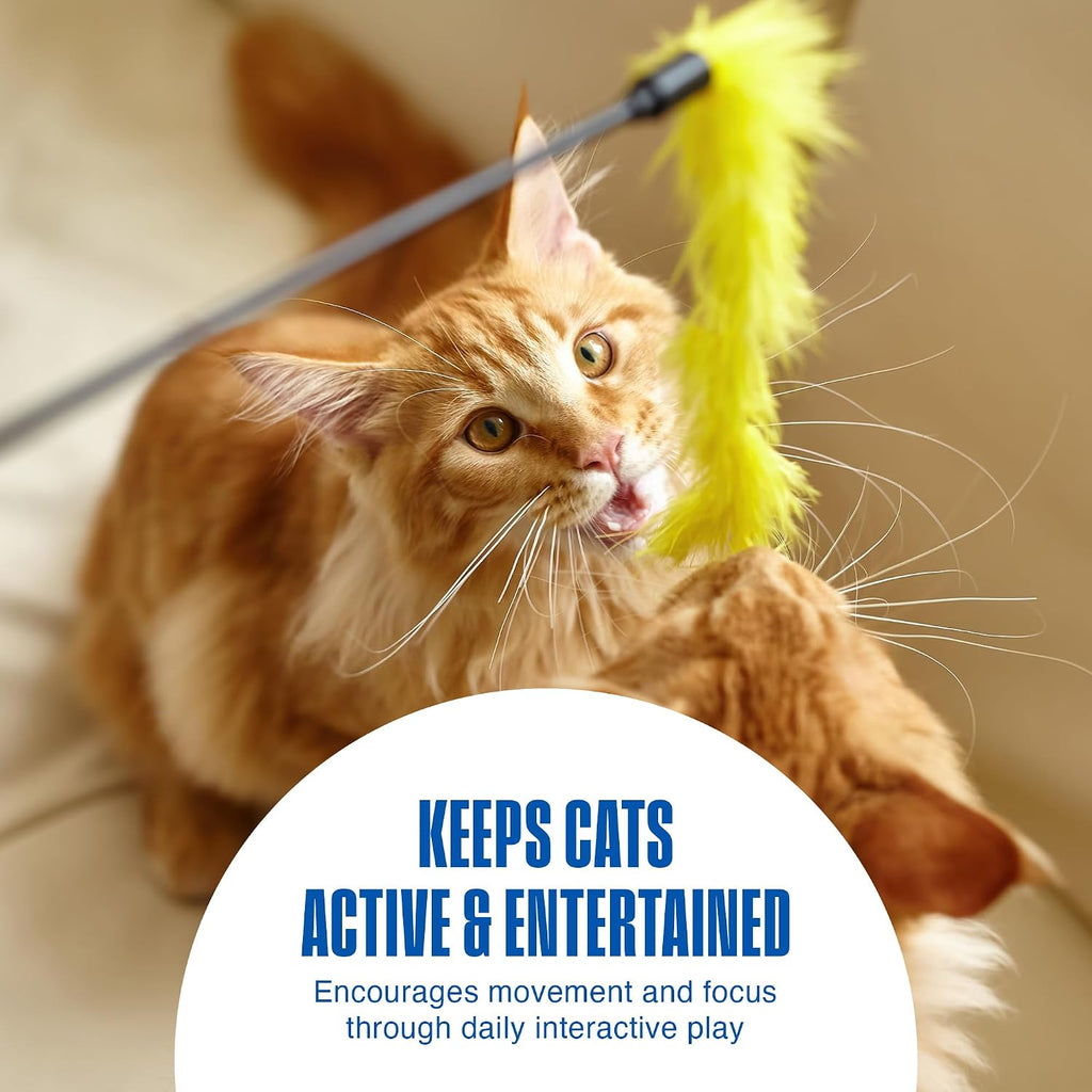 Penn-Plax interactive cat toys with rattling sound