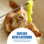 Penn-Plax interactive cat toys with rattling sound