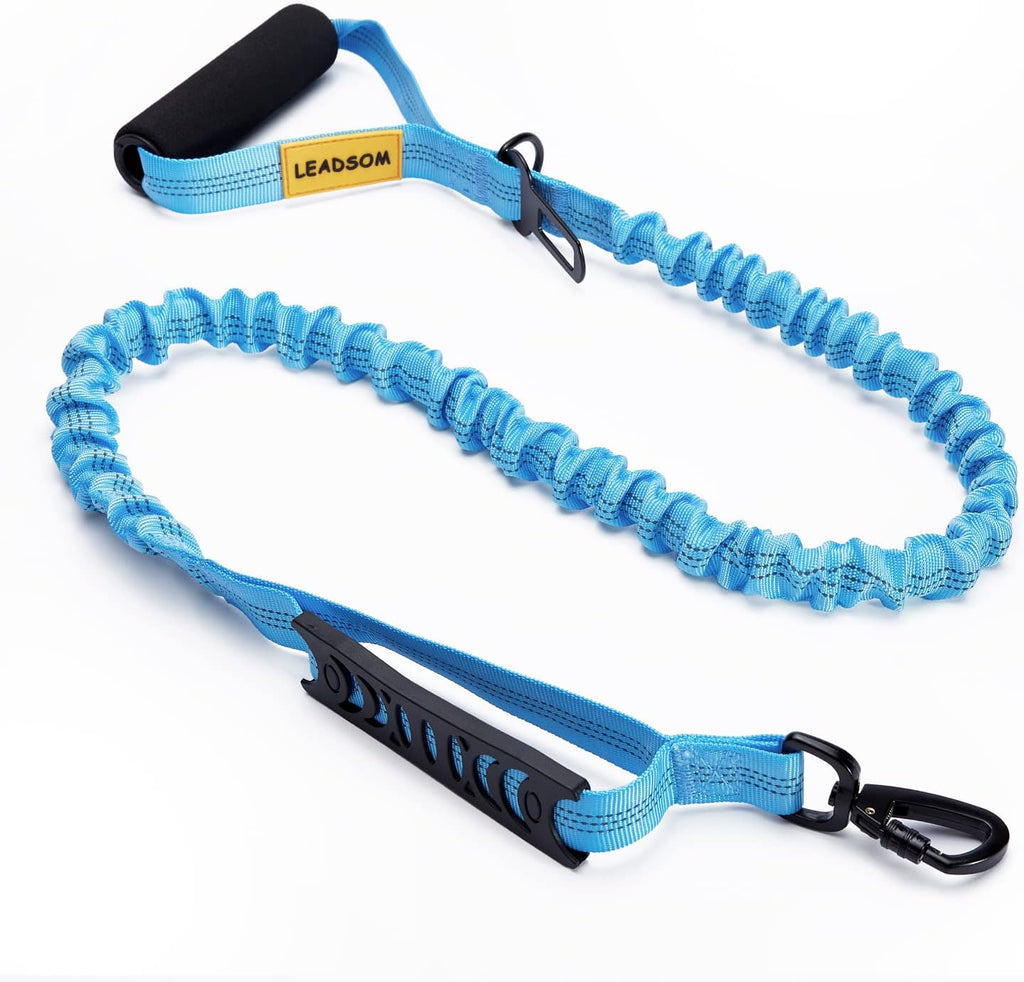 Leadsom double handle reflective pet leash for active dog walking.