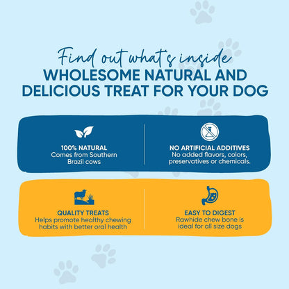 123 Treats long lasting dog chew treats arranged neatly on a clean background for pet care