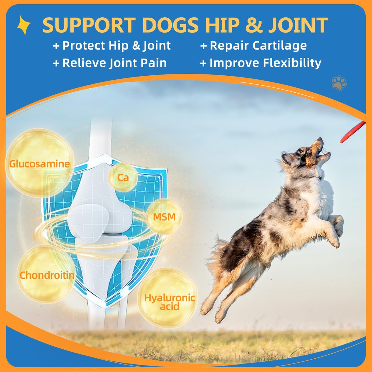 Close up of Zebora dog joint and skin health supplement label