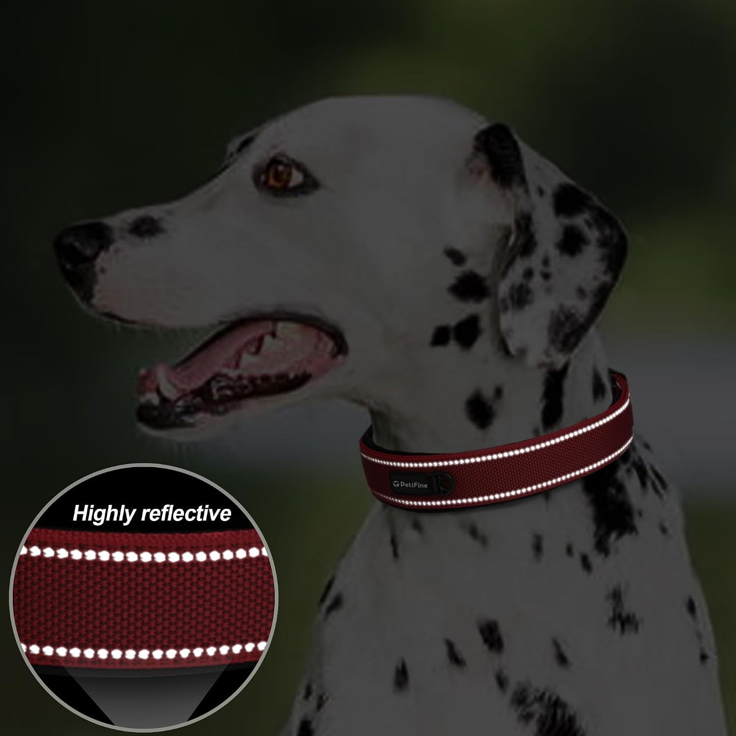 Reflective stitching detail on red nylon dog collar