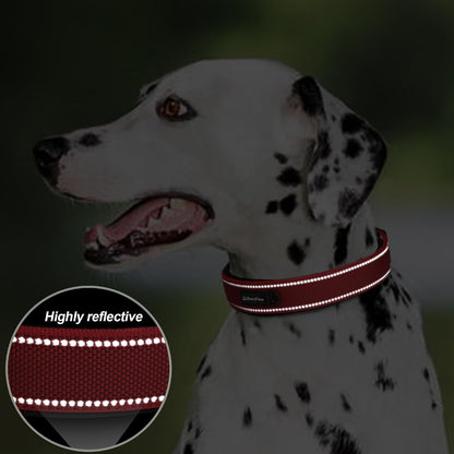 Reflective stitching detail on red nylon dog collar