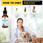 Kilab herbal respiratory relief liquid formula for pet asthma support