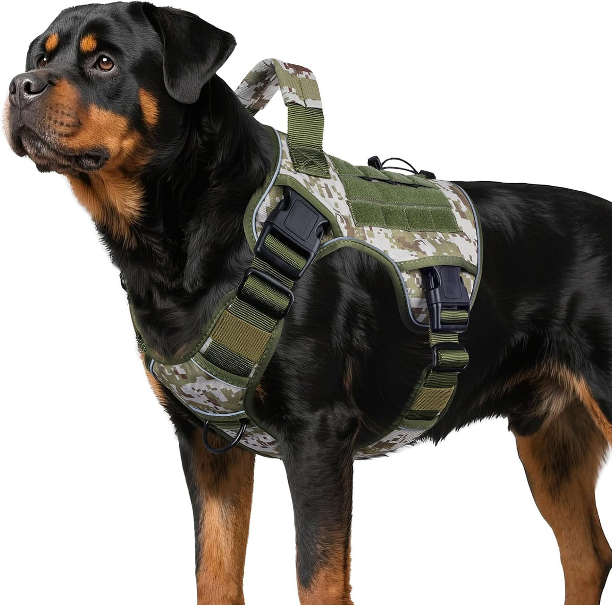 WINGOIN outdoor hunting dog vest sizing dimensions and strap adjustment details