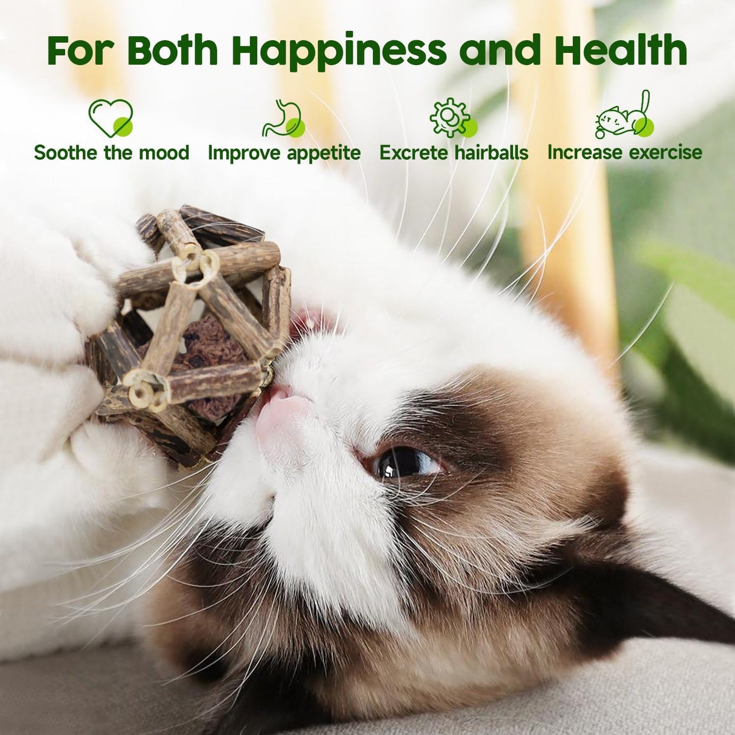 Cat playing with organic silvervine cage ball and bell
