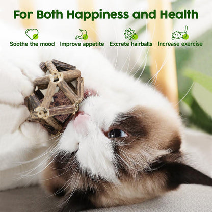 Cat playing with organic silvervine cage ball and bell