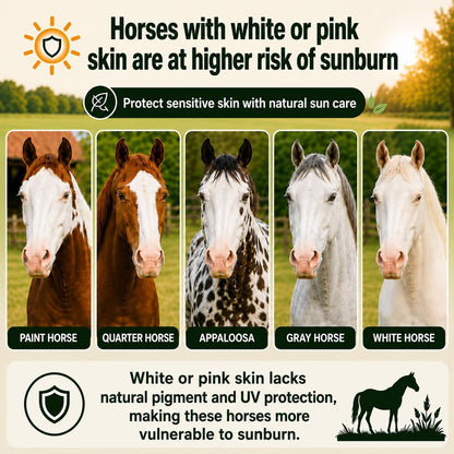 Pure Sole non-nano zinc oxide equine sunscreen ingredients label