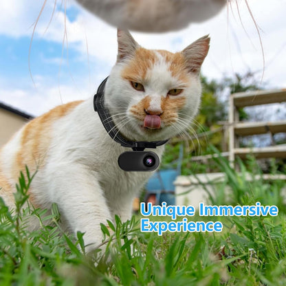Close up of ehomful mini wireless action camera for dogs