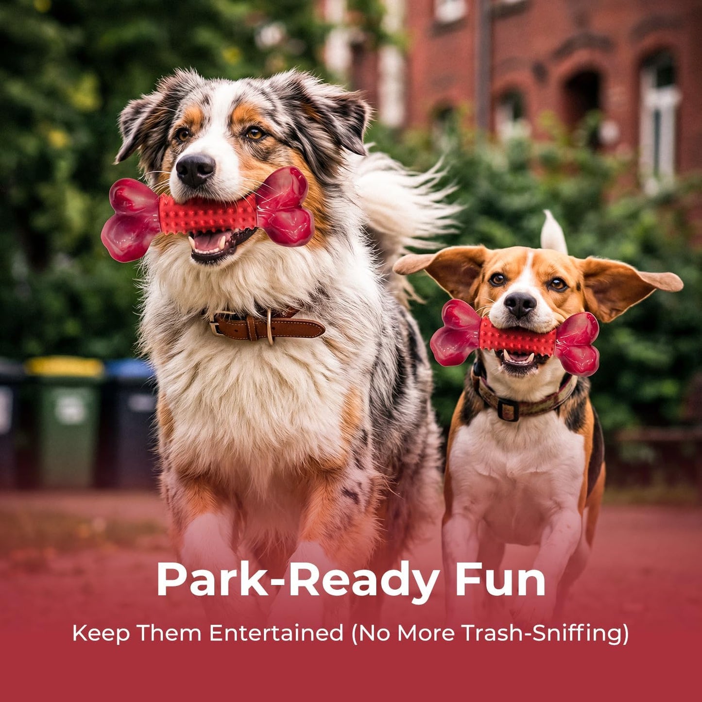 Safe nylon and rubber chew toy for dogs