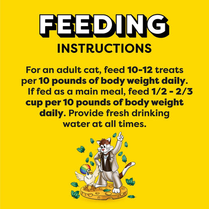 Temptations Catnip Fever premium USA formula cat food topper bag