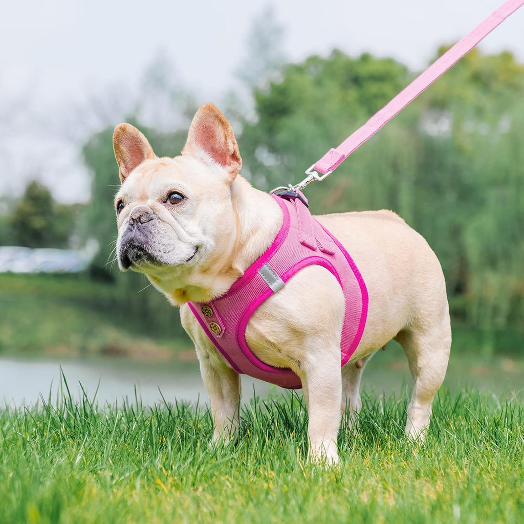 PUPTECK Dog Harness and Leash Set for Small Medium Dogs No Pull Step-in Soft Mesh Puppy Cat Vest Harnesses Reflective at Night, Green S - Image 14