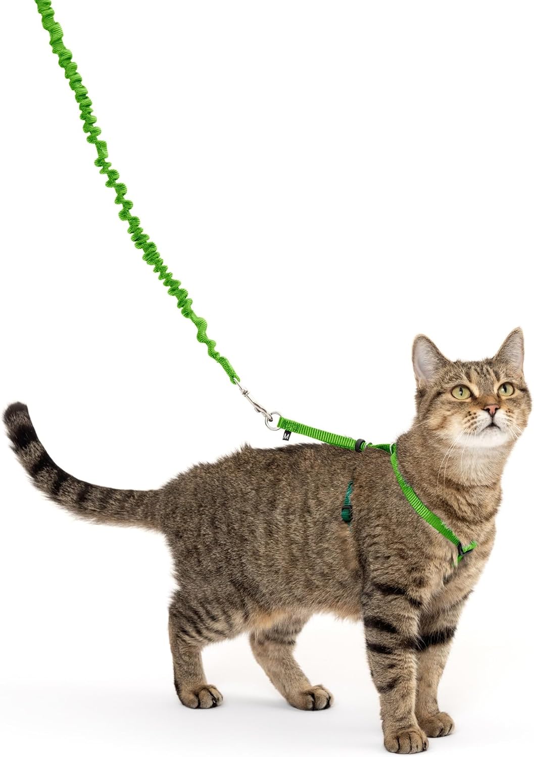 PetSafe Come With Me Kitty Harness and Bungee Cat Leash, Lilac, Medium - Image 9