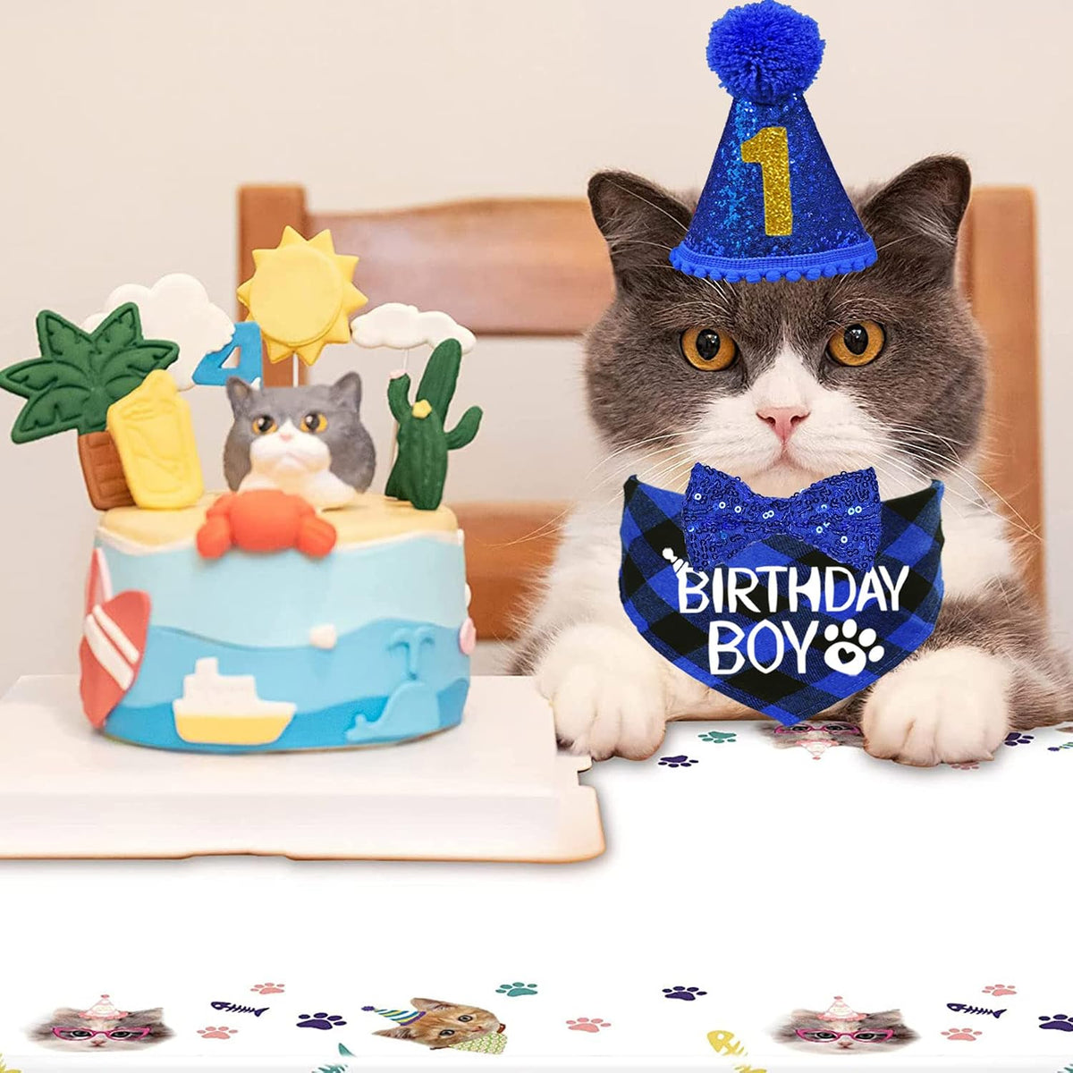 Cat birthday outfit components laid out flat