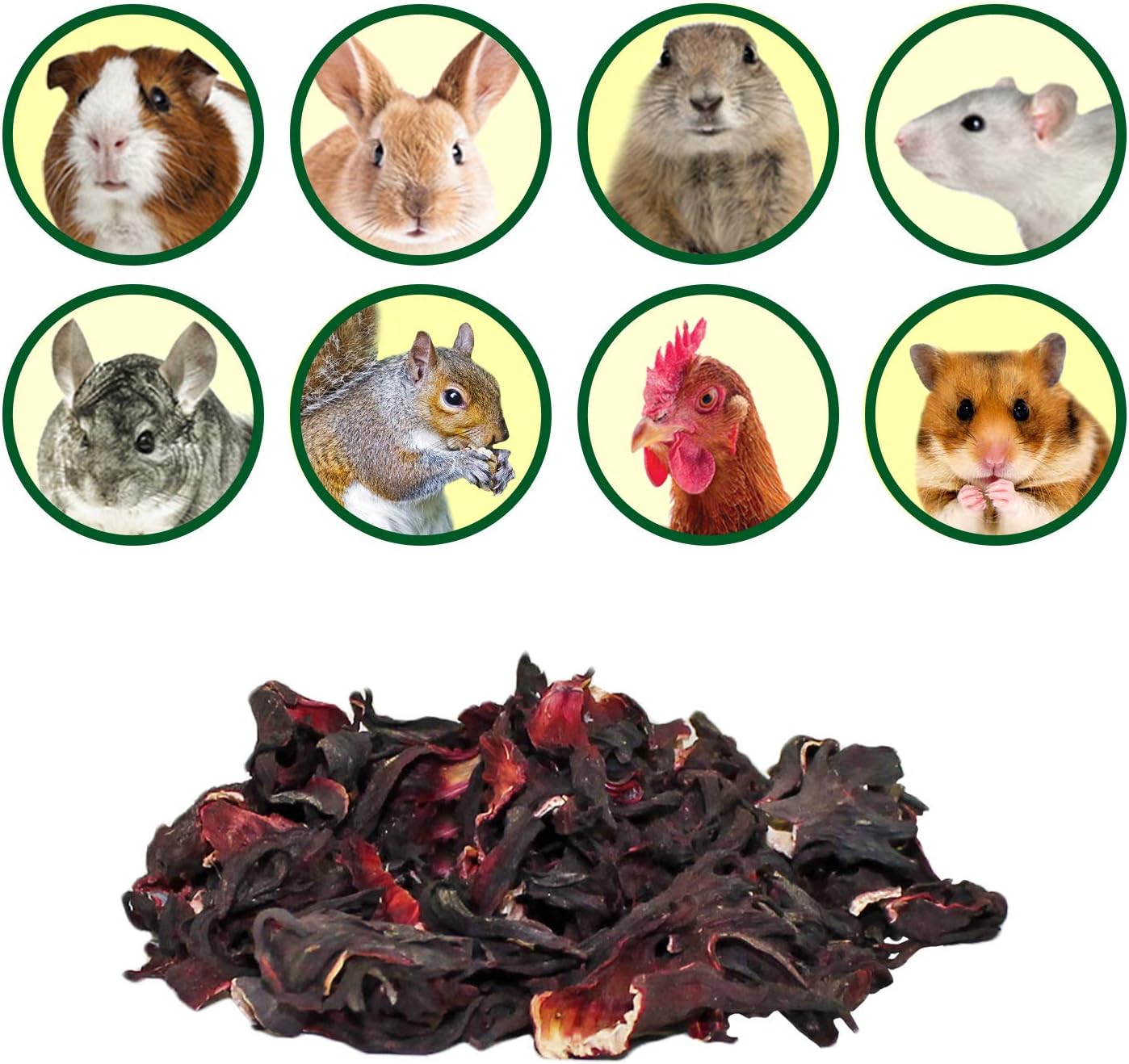 Exotic Nutrition small pet treat bag showcasing product details and feeding guidelines for herbivores