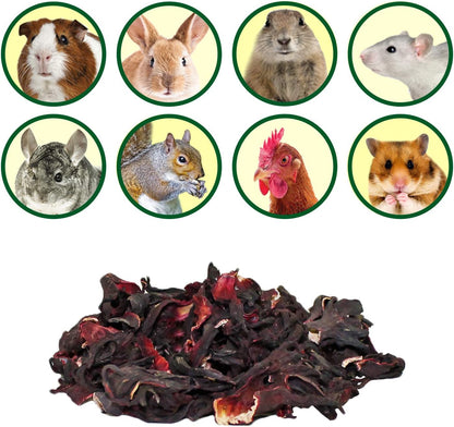 Exotic Nutrition small pet treat bag showcasing product details and feeding guidelines for herbivores