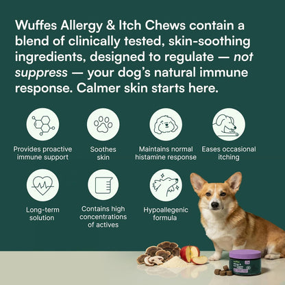 Immune and skin barrier support chews suitable for all dog breeds.