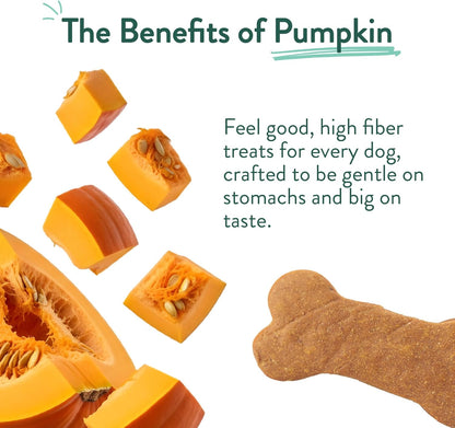 Portland Pet Food Company Pumpkin Dog Treats Healthy Biscuits for Small Medium & Large Dogs - Grain-Free, Human-Grade, All Natural Cookies, Snacks & Puppy Training Treats - Made in The USA - 5 oz - Image 10