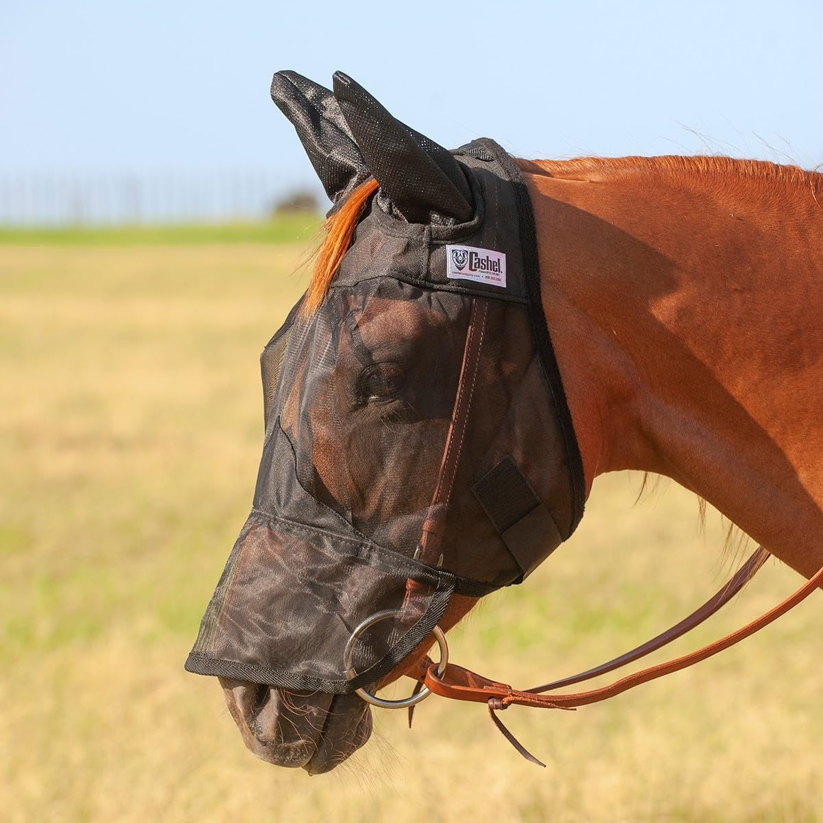 Cashel Quiet Ride horse fly mask front view